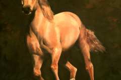 CAVALLO4
