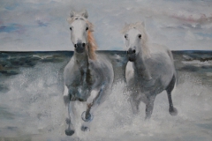 CAVALLO6