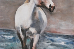 CAVALLO8