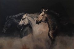 cavalli-galoppo