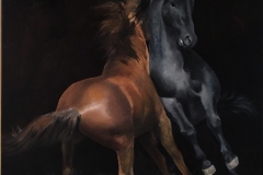 moine-tra-cavalli